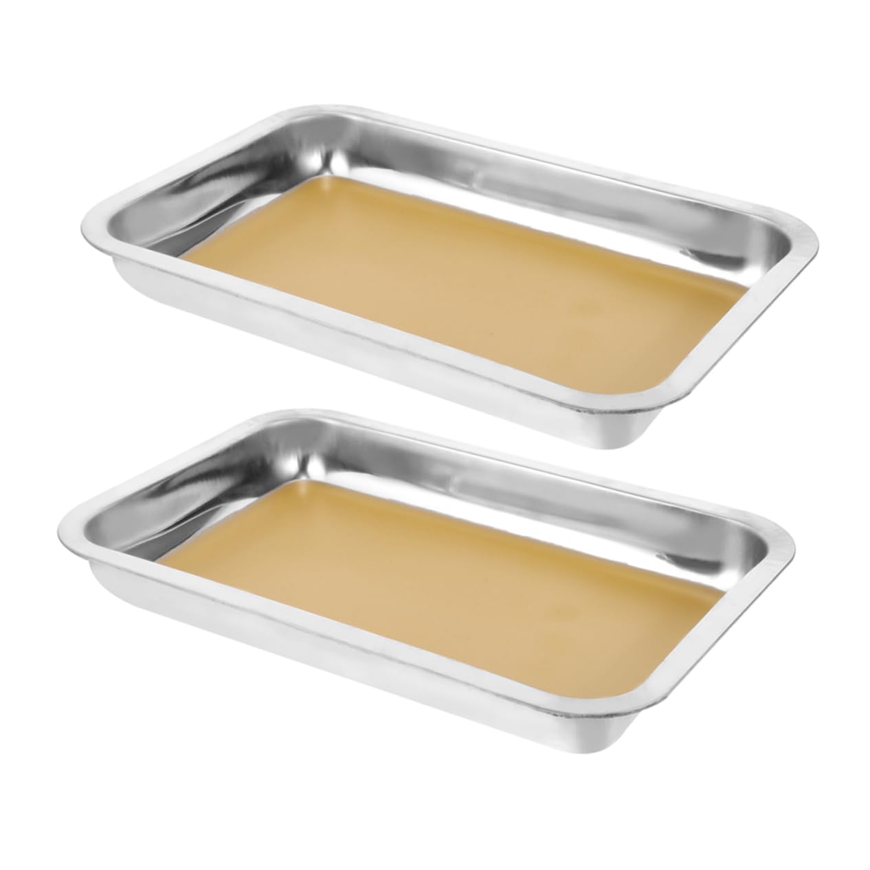 2 Stück Edelstahl Präparierschale mit Wachsauskleidung 31x21 cm rutschfeste Oberfläche und Kratzfester Boden für Biologieunterricht und Medizinische Experimente