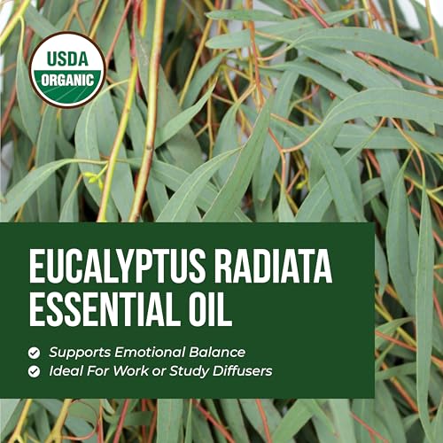 Aceite Esencial Orgánico de Eucalipto Radiata 4 Fl Oz miniatura 5