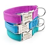 Personalized Dog Collar, Reflective Custom Dog Collar with Name Phone Number Adjustable Size (XS S M L)