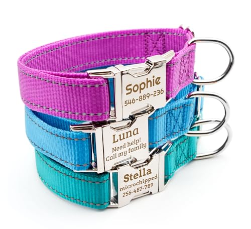 Personalized Reflective Dog Collar - Custom Pet Name, Phone Number & Address Engraving, Adjustable Sizes XS/S/M/L/XL, Optional Leash & Airtag Holder for Small/Medium/Large Dogs