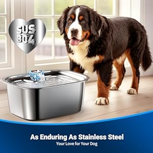 Dog water fountain for large dogs stainless steel dog water fountain 3 gallons pet fountain with 4pack filters extra big dog water bowl dispenser inside cat drinking bowls quiet pump   cucciolini doodles