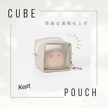 PERI キュー キュー ケース付き Amazon | レイメイ藤井 ポーチ Kept キューブポーチ