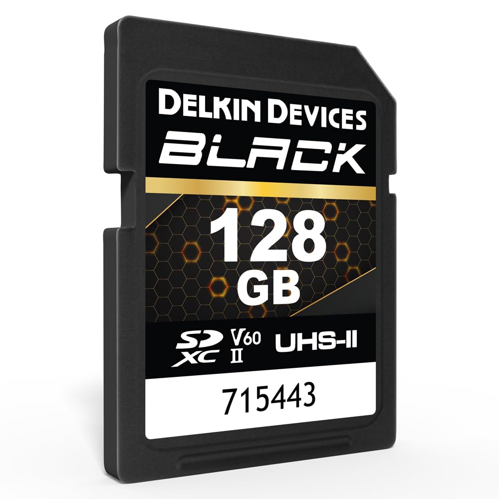 Delkin Devices Scheda di memoria SDXC resistente nera, UHS-II, C10, U3, V60, video Full HD e 8K, velocità fino a 290 MB/s in lettura, 190 MB/s in scrittura, ideale per fotografi e videografi (128 GB)
