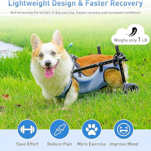 Silla de ruedas para perros pequeños con soporte para extremidades traseras 4