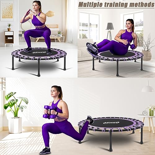 Image of Newan 40 inch-48 inch Silent Mini Trampoline Fitness Trampoline Bungee Rebounder Jumping Cardio Trainer Workout for Adults-Max Limit 330lbs
