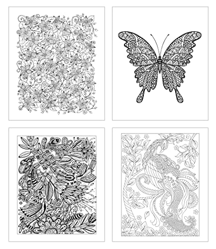 Zoco - Gift Pack: 3 Adult Coloring Books Set With Colored Pencils - Oceans, Patterns, And Nature Coloring Books - Includes 10 Pre-Sharpened Coloring Pencils #TOP3
