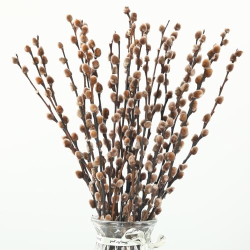 20 Stems Preserved PussyWillow 17 Brown for Wedding Home & Fireplace