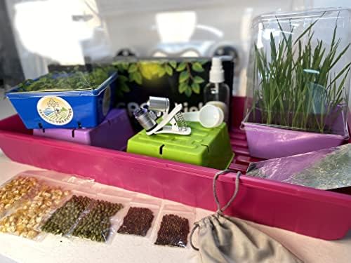 6-8 Table Top Living Lab w/ Curriculum Subscription