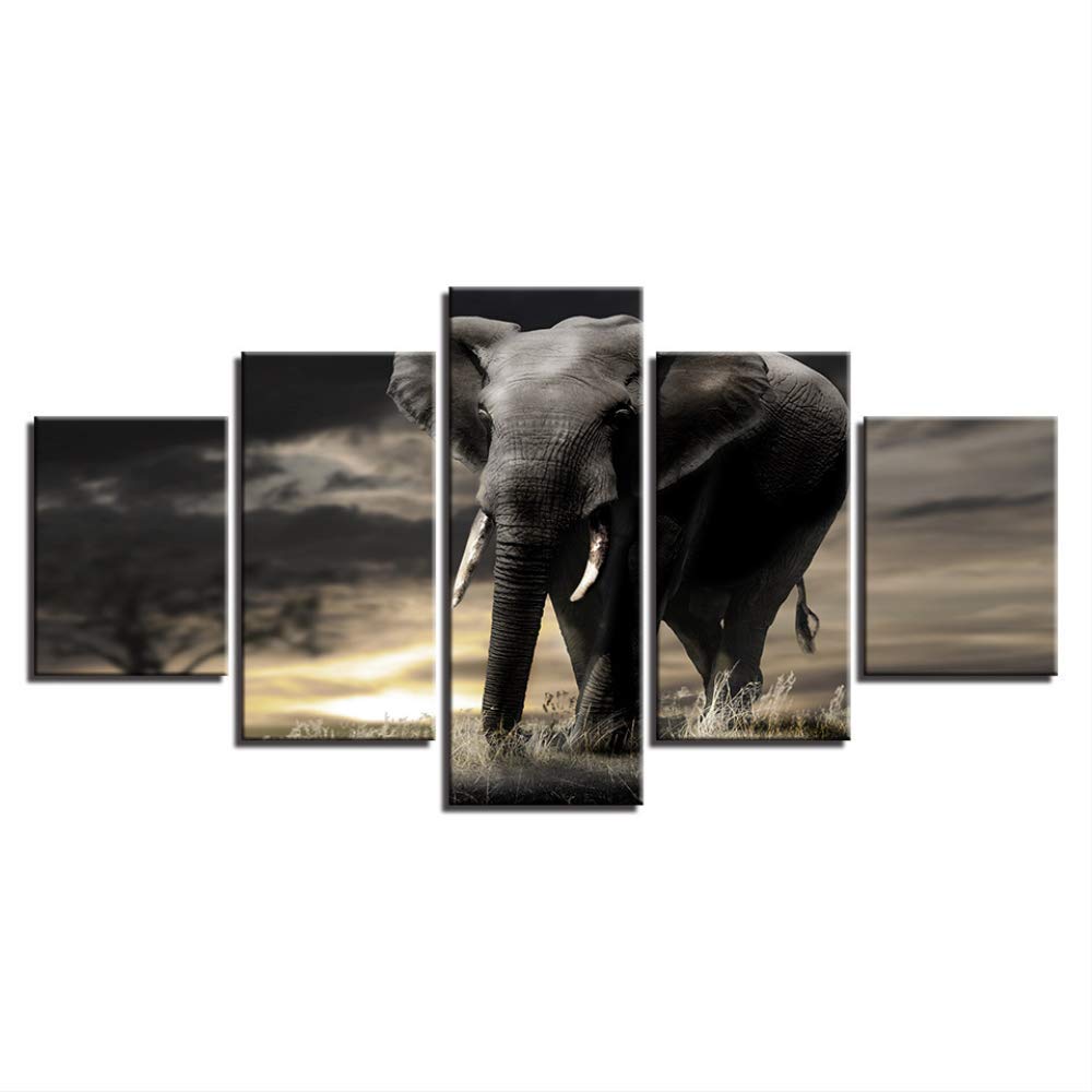 Toile photo maison salon chambre peinture animal éléphant géante