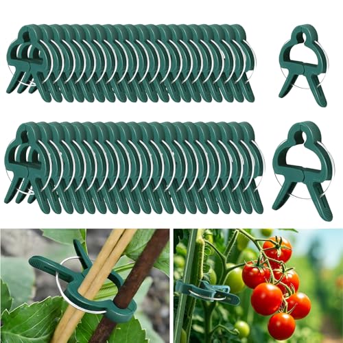 Lysjoy Pflanzenclips für Kletterpflanzen 40 Stück Pflanzenklammern Pflanzen Clips Tomaten Clips Wiederverwendbar für Tomaten Gemüse Früchte (20 große+20 kleine)