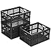 Large Crates