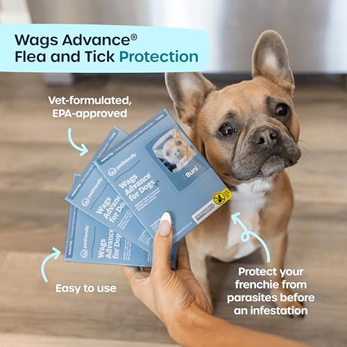 Image of French Bulldog Wellness Kit, Dog Wrinkle Wipes for Eyes, Paws, and Ears, Itchy Skin Relief, Flea Medicine, Dog Treats, Perfect Frenchie Supplies