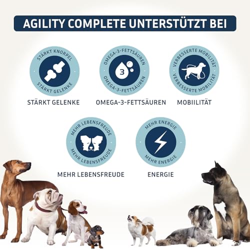 PetFokus Agility Complete | für gelenkempfindliche Hunde - natürliche Nahrungsergänzung - 11 wertvolle Inhaltsstoffe inkl. Grünlippmuschel, MSM, Teufelskralle - Pulver - in Deutschland produziert