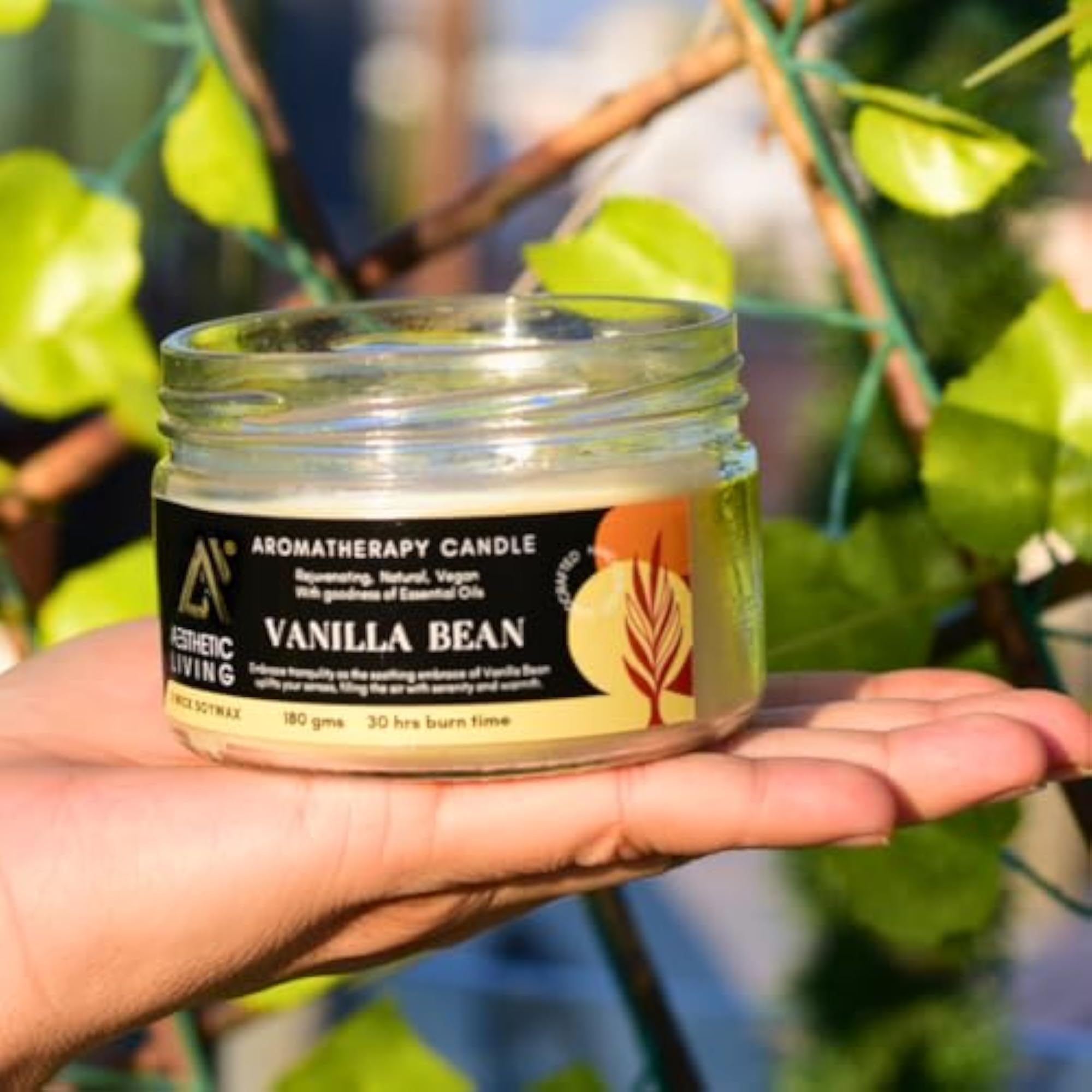 Vanilla Bean 3 Wick Soy Wax Candle, Luxury Home Décor