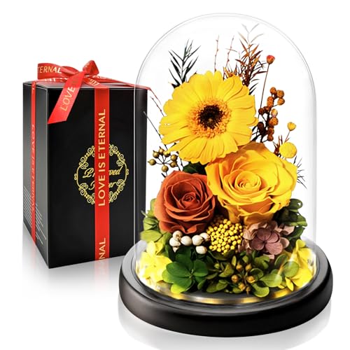 Touloube Gerbera y Rosa Eterna Preservadas en Cúpula de Cristal con Luz LED | Regalo de Día de la Madre para Mamá, Perfecta Regalo Girasol para Mujeres, Novia y Esposa | Flores Preservadas