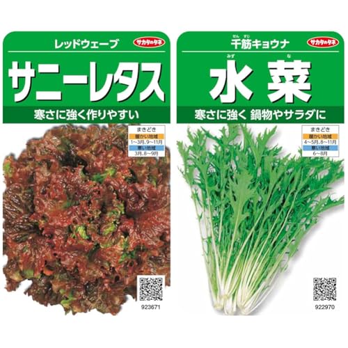 【セット買い】サカタのタネ 実咲野菜3671 サニーレタス レッドウェーブ 00923671 + 実咲野菜2970 水菜 千筋キョウナ 00922970
