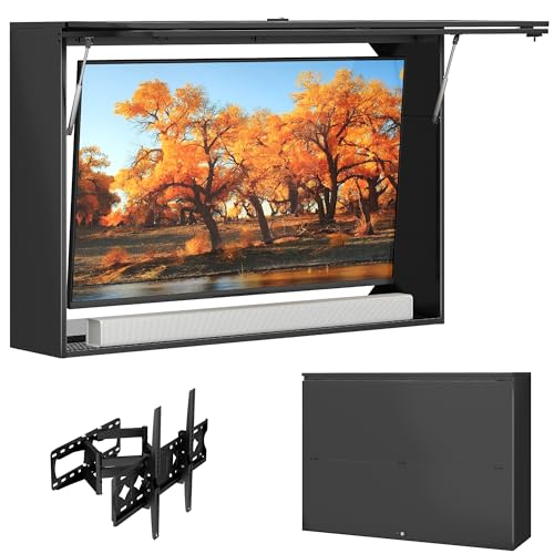 Outdoor TV Enclosure for 50-55 Inch TV Metal Weatherproof Outdoor TV Cabinet with Premium Dual-Arm Mount Mounted Right on The Wall Adjustable TV Wall Mount Bracket Included Black