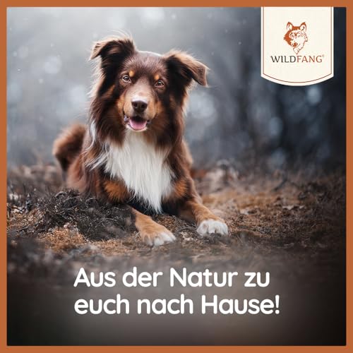 Wildfang Paket Willkommen Jungspund | Starterset für Welpen | Probierpaket | Kauwurzel aus Baumheide | Lederknochen | Kaustab aus Olivenholz | Probierset Hartkäse für Hunde (S - für kleine Hunde)
