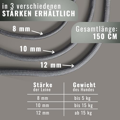 Retrieverleine 150 cm für große & kleine Hunde – Halsband mit integrierter Leine – Slip Leash & Trainingsleine Hund – Führungsleine für Labrador & Retriever - Ruckdämpfer (Anthrazit, bis 5 Kg)