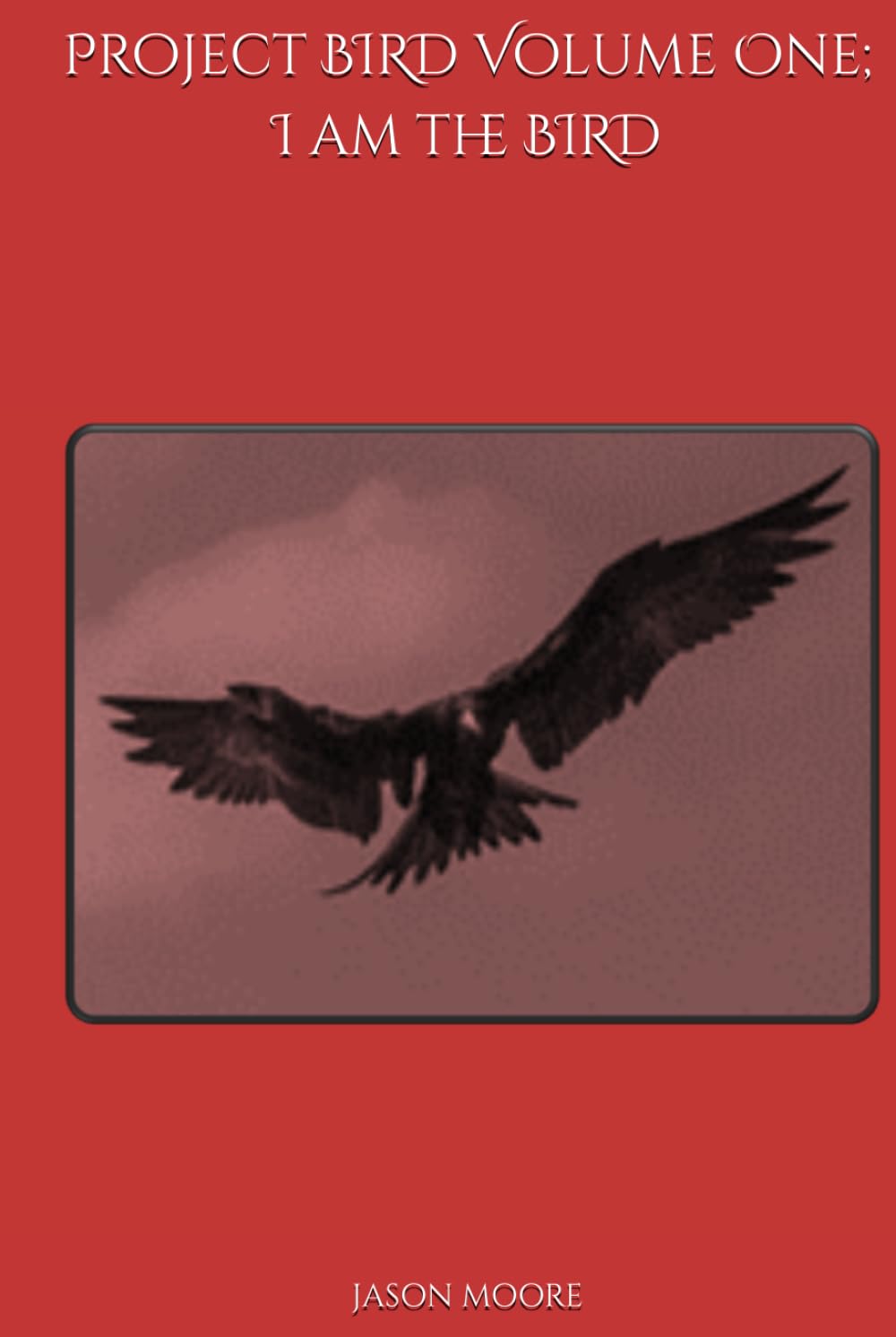 Project BIRD Volume One; I am the BIRD