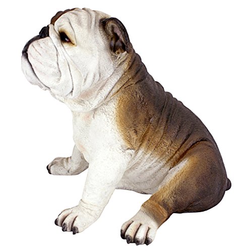 Design Toscano Buster die Bulldogge Britische Gartenstatue, Polyresin, vollfarbe, 40.5x35.5x35.5 cm