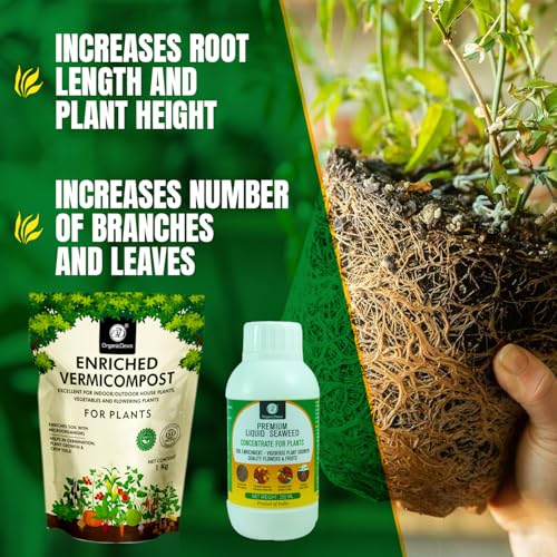 Image of OrganicDews Enriched Vermicompost 1 Kg + Liquid Seaweed Fertilizer 250ml Bio Stimulant - Plant Growth Enhancer, Soil Conditioner for Indoor & Outdoor