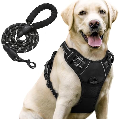 Image of Lyrovo Adjustable No-Pull Dog Harness with Leash Set for Small, Medium & Large Dogs - Reflective, Breathable, Comfortable Vest Harness for Training & Walking (Black, M (14-22Kg))
