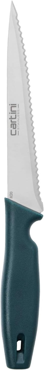 Godrej Locking Solutions and Systems Cartini Super Stainless Steel Slicing Knife,27.6Cm, Colour -Teal