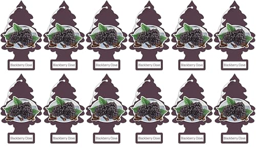 Little Trees BlackBerry Clove Air Freshener (Pack of 12)