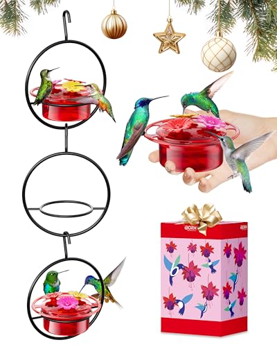 iBorn Circular Hanging Hummingbird feeders for Outdoors 3PCS 3OZ Mini Hummingbird Feeder Humming Bird Feeder, Silicone Feeding Ports, Bee-Proof, 2025 New