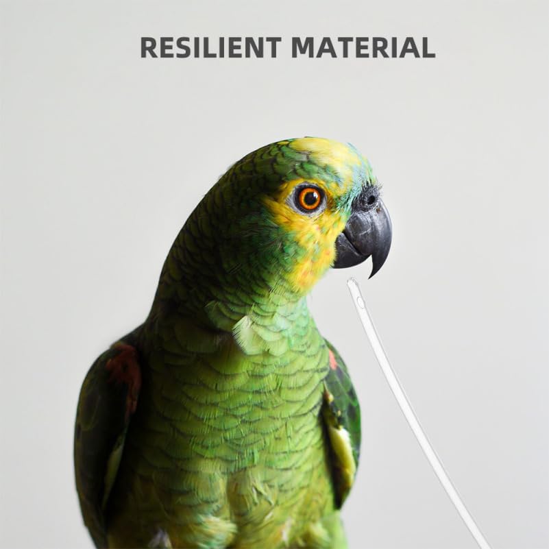 Tubes d'alimentation pour oiseau balacoo évitant les blessures - 7
