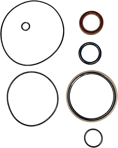 Nuevo kit de sello de reparación de pistón para Evinrude ETEC 5008985 5008773 2004-12