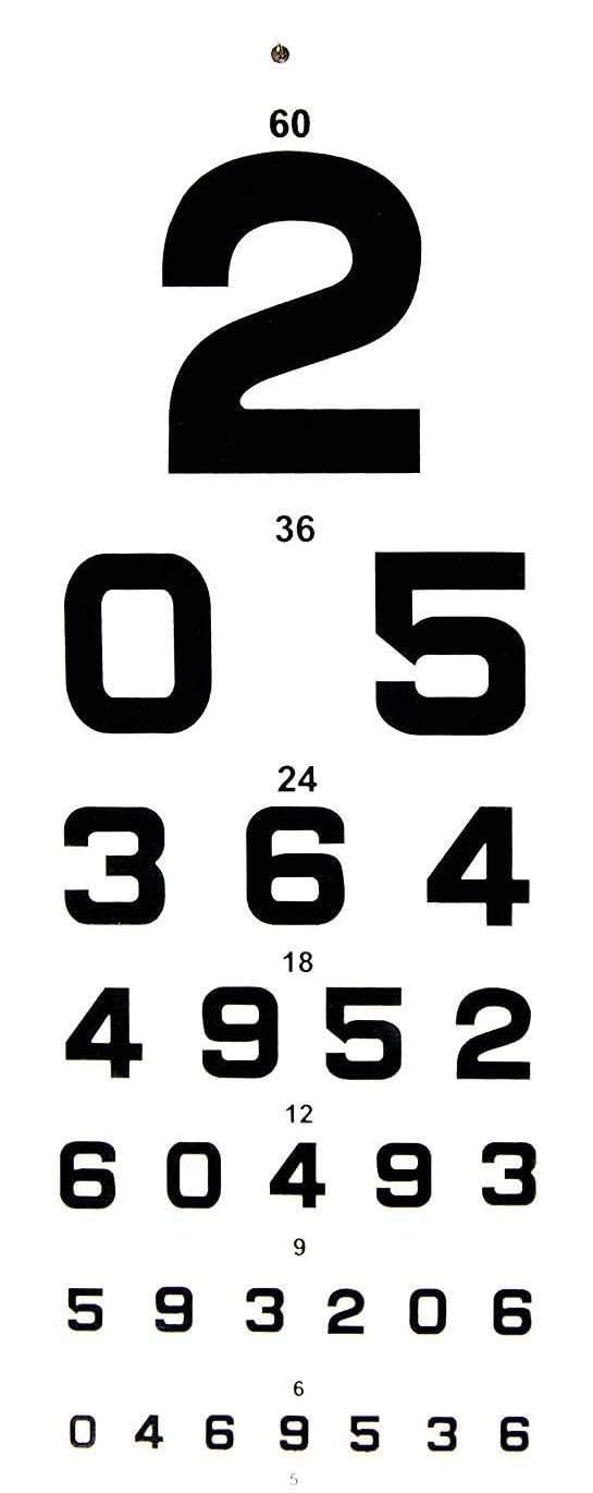 HYZIK VISION CHART Counting Vision Test Chart (Snellen) Eye chart.. (B0DDQFQ47N) Amazon Price History, Amazon Price Tracker