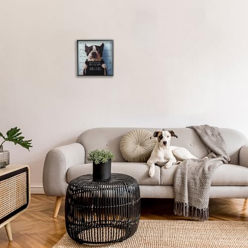 Image of Boston Terrier Mugshot Humor, 17 x 17 Inch Framed Giclee Print | Stupell Industries . By Lucia Heffernan . Ready to hang once unboxed . Great gift for dog lovers . Made in USA
