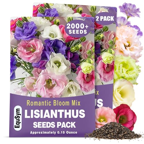 2000+ Lisianthus Seeds for Planting - 2 Pack Mixed Color Perennial Eustoma Grandiflorum Seeds for 2026 Thornless Rose Flowers Seed for Planting Wildflower Non-GMO Garden Indoor Blooms