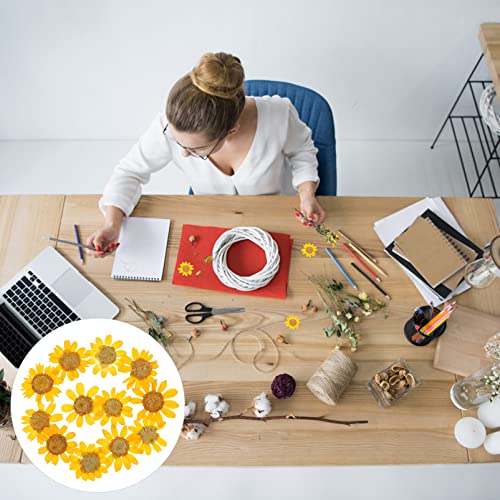 TEHAUX 2 sets flores secas para manualidades 48 pcs miniatura 6