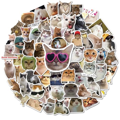 Fuzmo 100 Pcs Cat Stickers, Cute Meme Kitten Stickers...