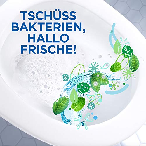WC ENTE Total Aktiv Gel, Flüssiger WC Reiniger antibakteriell, Toilettenreiniger, Mint Melody, 1er Pack (1 x 750 ml) 5