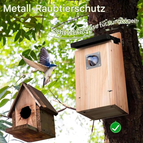 Abri à oiseaux à suspendre cabane décorative pour balcon et jardin - 4