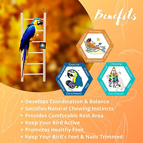 Image of 28cm Natural Wooden 6 Step Ladder Bird Toy | Climbing, Exercise & Fun | for Medium & Large Birds