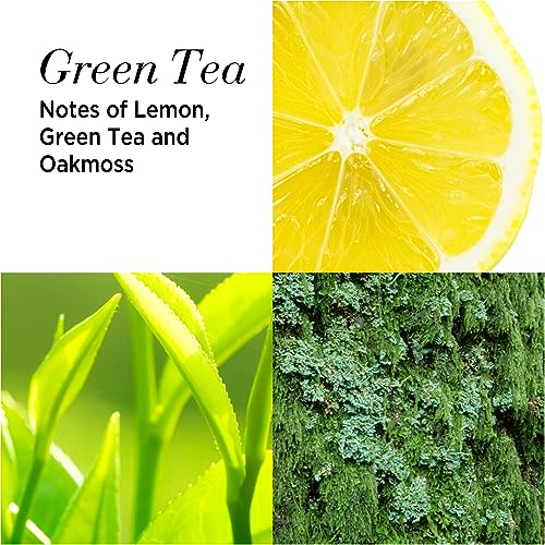 Elizabeth Arden FRAGRANCE COFFRET Red Door, Green Tea and White Tea 3-piece Set, fragrance gifting, for women - Image 5