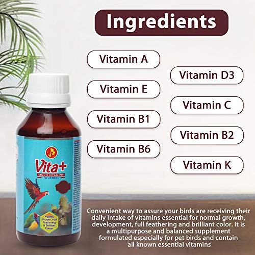 Pet-Care-International-PCI-Vita-Specially-formulated-for-Birds-Helps-Healthy-Growth-Full-Feathering-Brilliant-Color-with-Extra-Vitamin-C-30ml