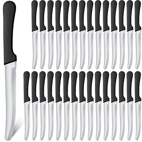 RAIHOMKIT 30 Pack Serrated Steak Knives Set, 8.5 Inch Stainless