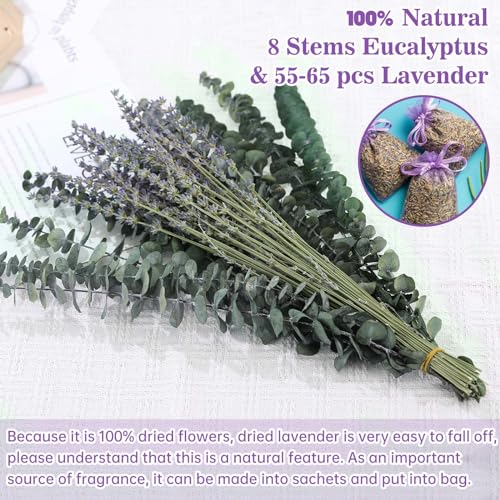 Image of 70 PCS Dried Eucalyptus Stems with Lavender Flowers Bundle for Shower, 17'' Natural Real Live Eucalyptus Leaves Branches Hanging Shower Plant for SPA Home Fragrance Bathroom Table Vase Decor
