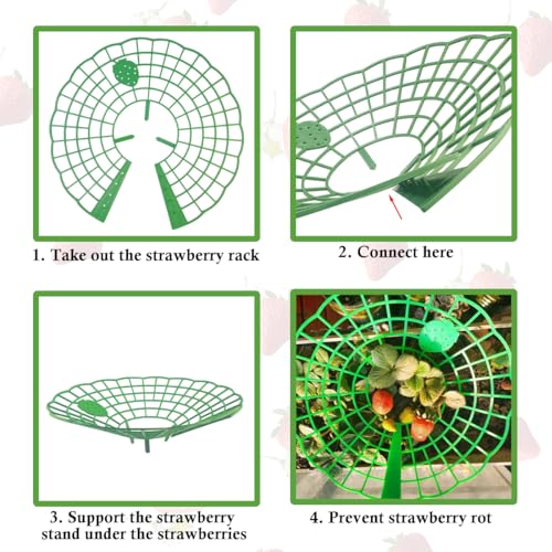 Quaocens AER21 20 Pcs Strawberry Supports,Strawberry Plant Support thumb #2