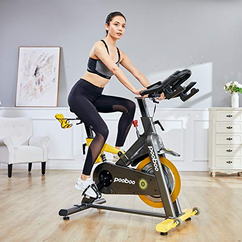 L NOW Indoor Exercise Bike Indoor Cycling Stationary Bike,Magnetic Resistance with 35 Lb
