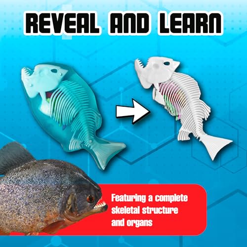 Image of Top Secret Toys Dissect-It Mini Labs Piranha Lab Dissection Kit for Kids, Realistic Synthetic Kids Science Kit - On, Biology and Animal Anatomy, STEM Toy, Ages 6+