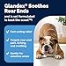 Vetnique Glandex Medicated Dog Butt Wipes or Spray for Dog Scooting - Topical Anti Itch Skin Relief for Soothing Inflamed Anal Glands in Dogs & Cats - Fast Acting Formula 50ct (50ct Wipes)
