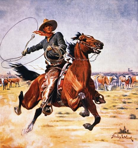 Image Déco d'Art Murale Cowboy Lasso Tableau Toile Premium