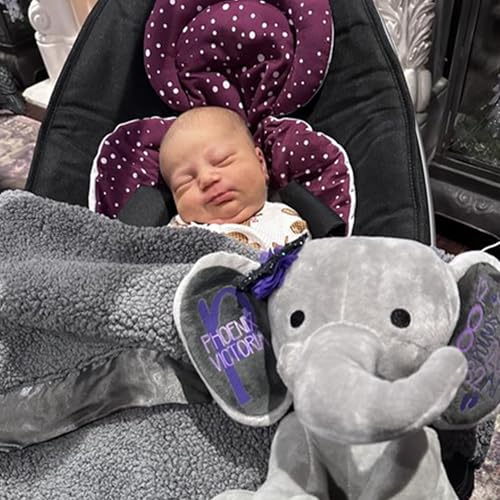 Image of 4moms RockaRoo and MamaRoo Infant Insert, Machine Washable, Soft, Plush Fabric, Reversible Design, Maroon